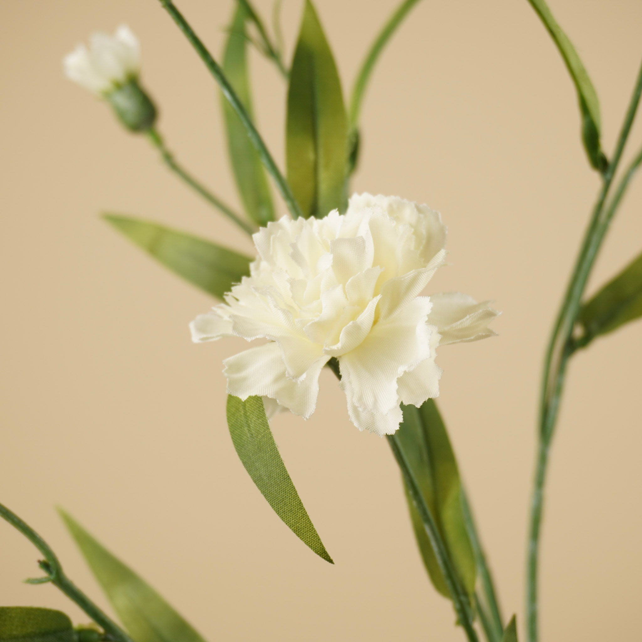 Zijde Dianthus – Crème (70 cm)