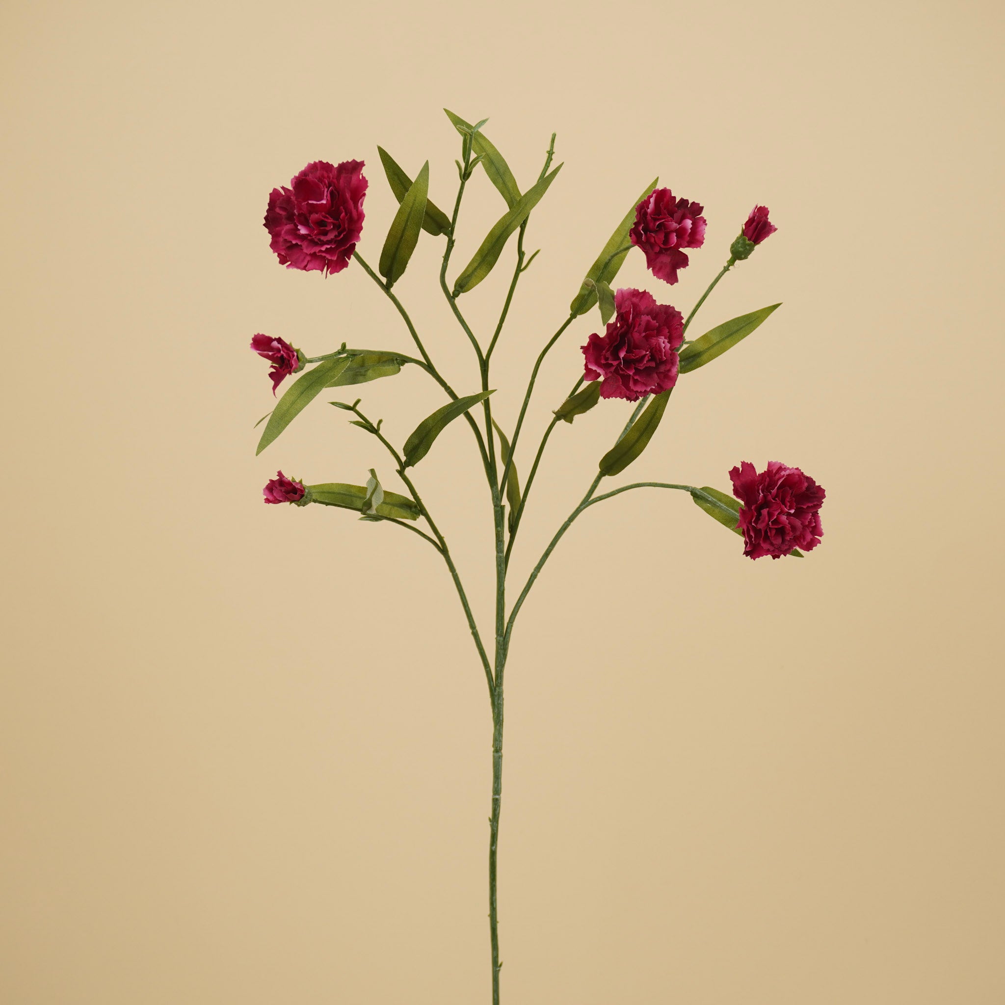Zijde Dianthus – Paars (70 cm)