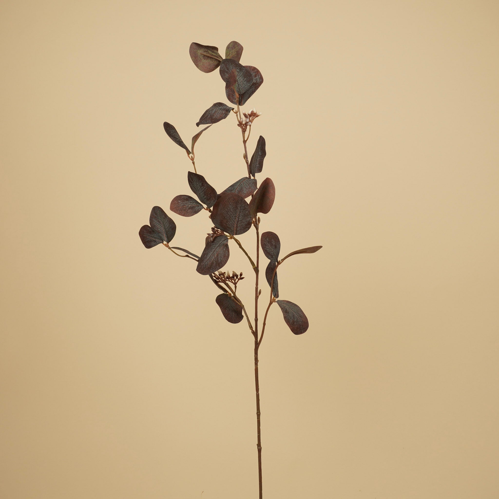 Zijde Eucalyptus – Donkerpaars (73 cm)