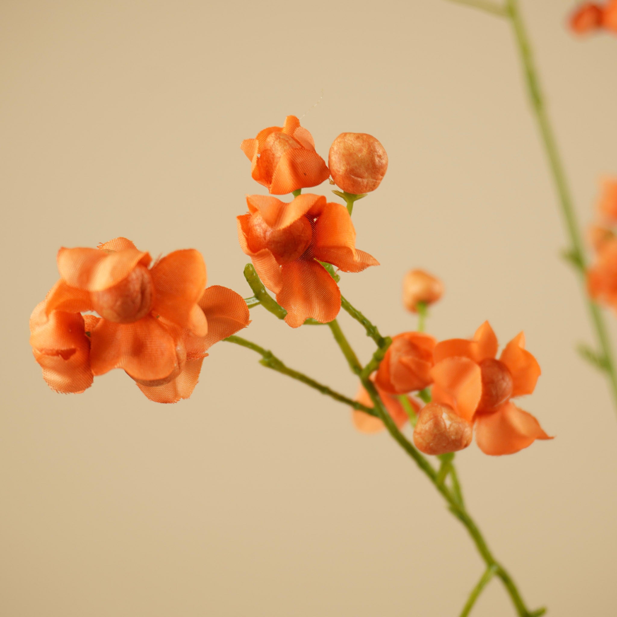 Zijde euonymus wilde bloesemtak oranje 91 cm