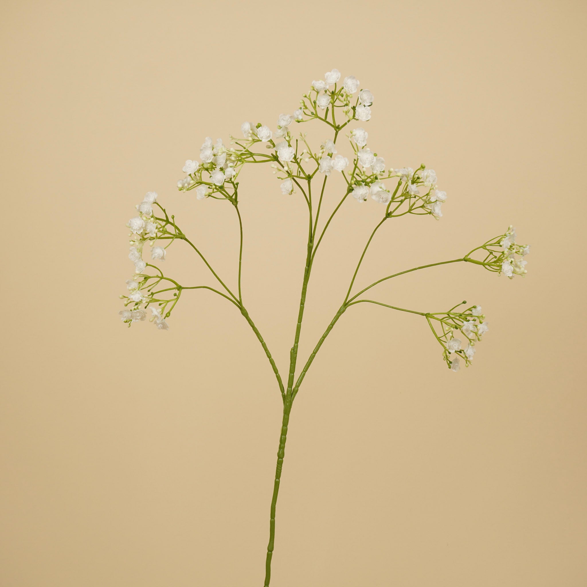 Zijde Gypsophila – Wit (68 cm)