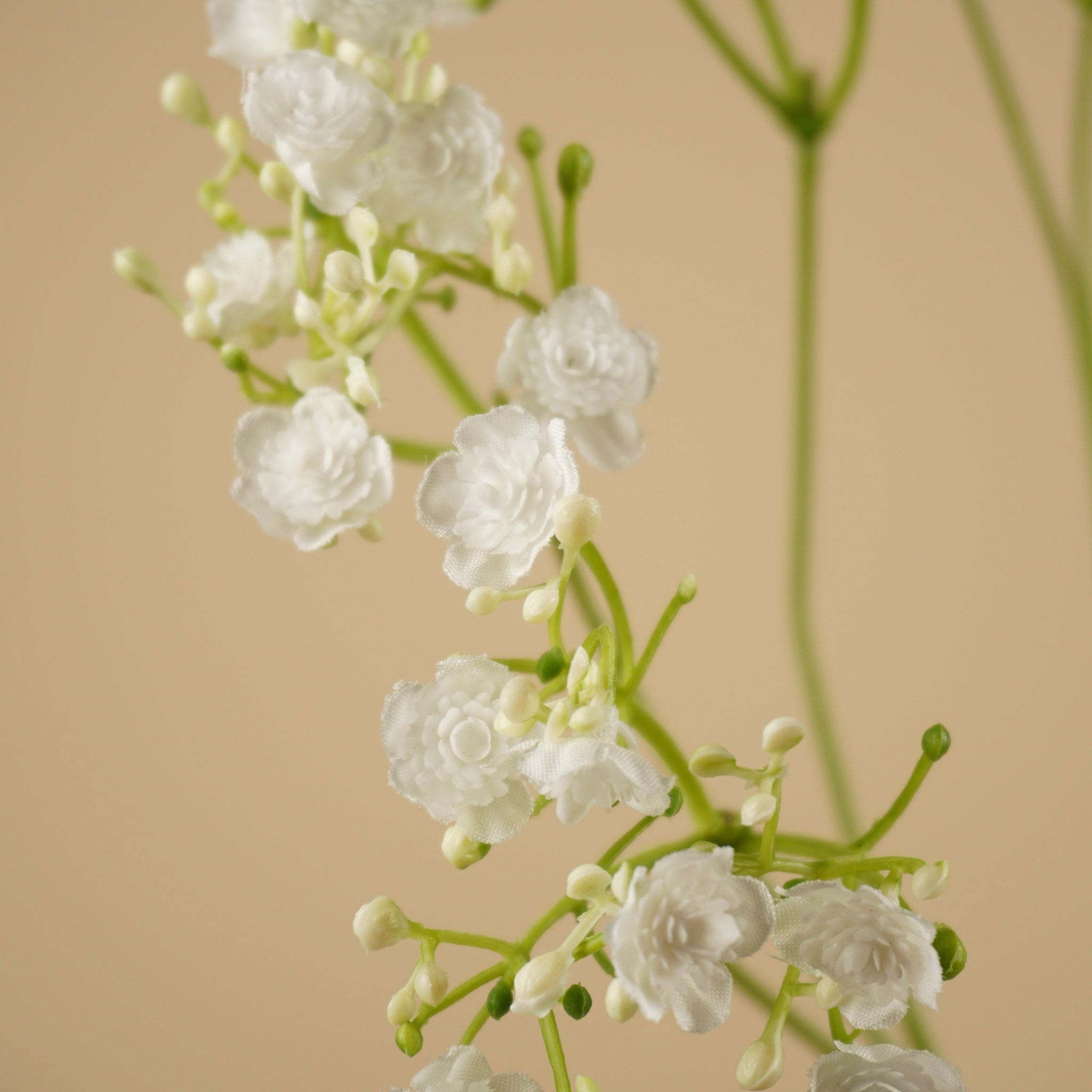 Zijde Gypsophila – Wit (68 cm)