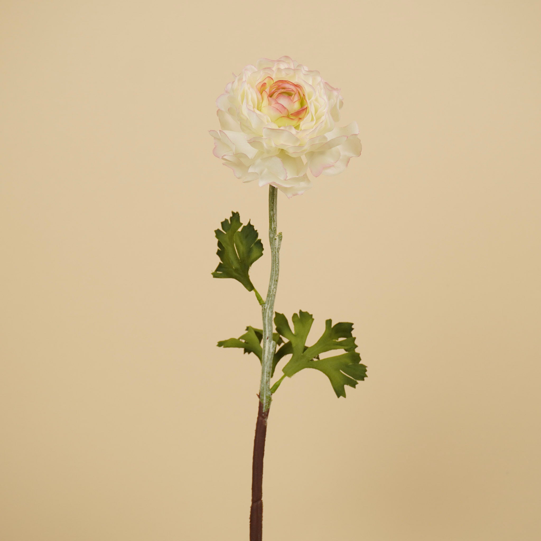 Zijde Ranonkel Spray – Crème/Roze (50 cm)