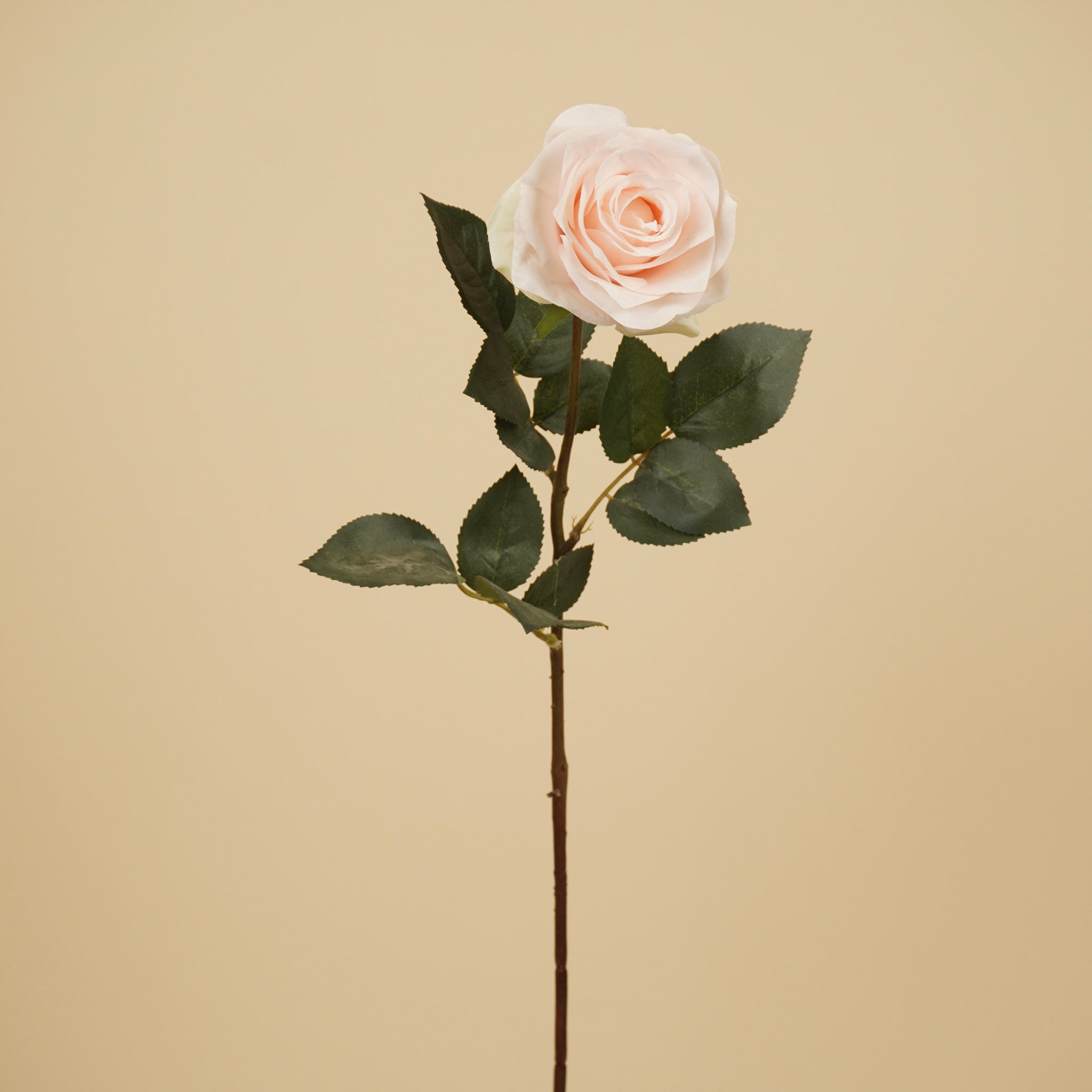 Zijde Roos Simone – Lichtroze (73 cm)