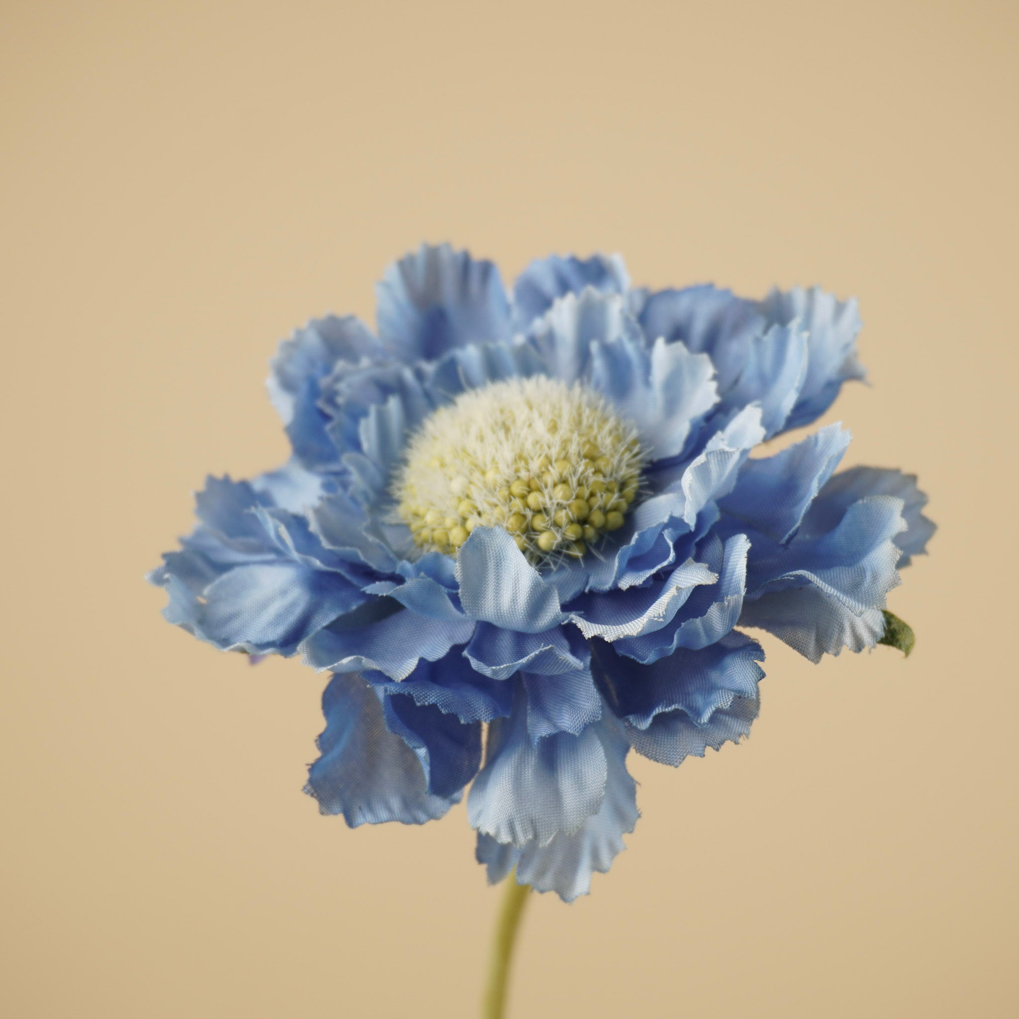Zijde Scabiosa Tak – Zacht Blauw (63 cm)