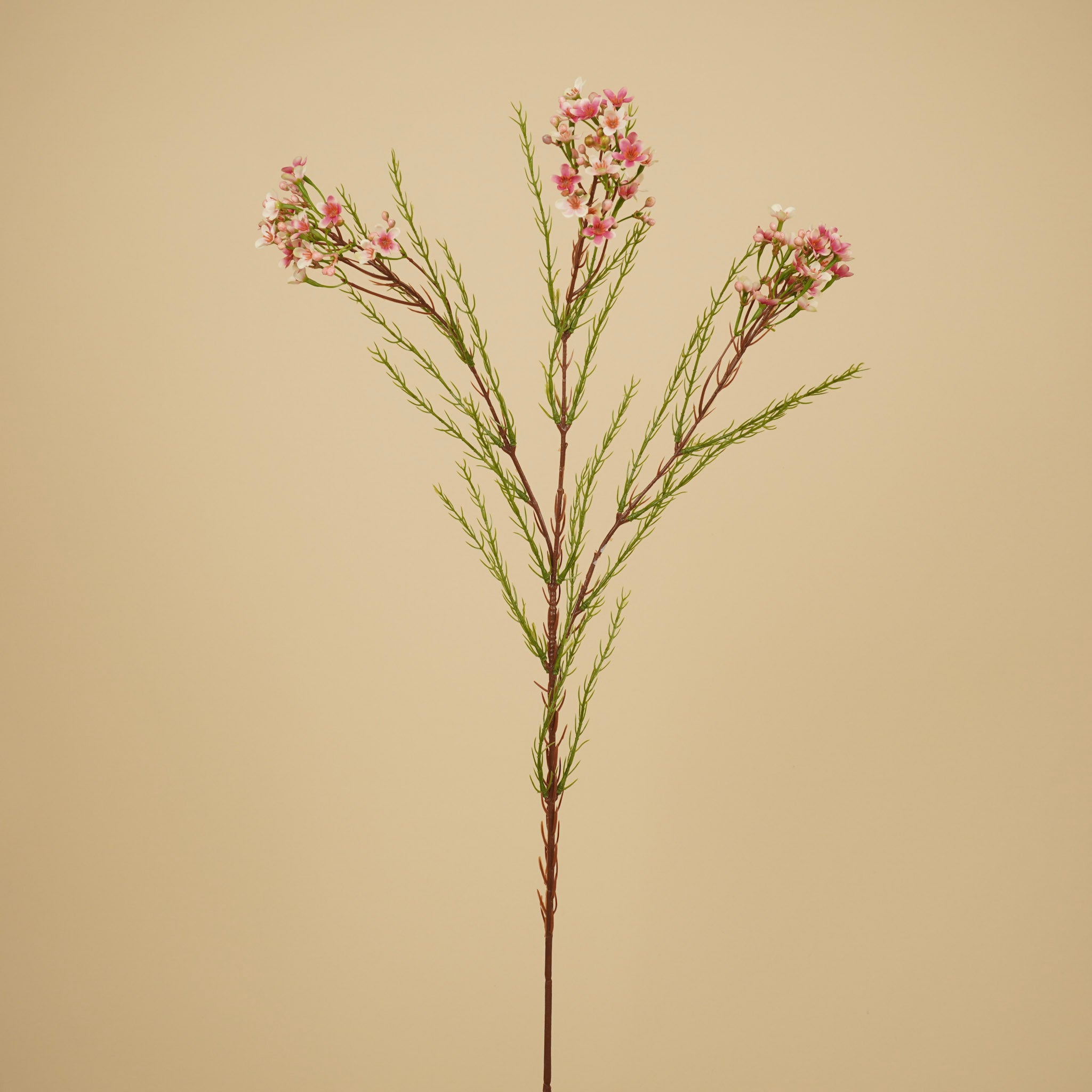 Zijde Waxflower – Zacht Roze (78 cm)