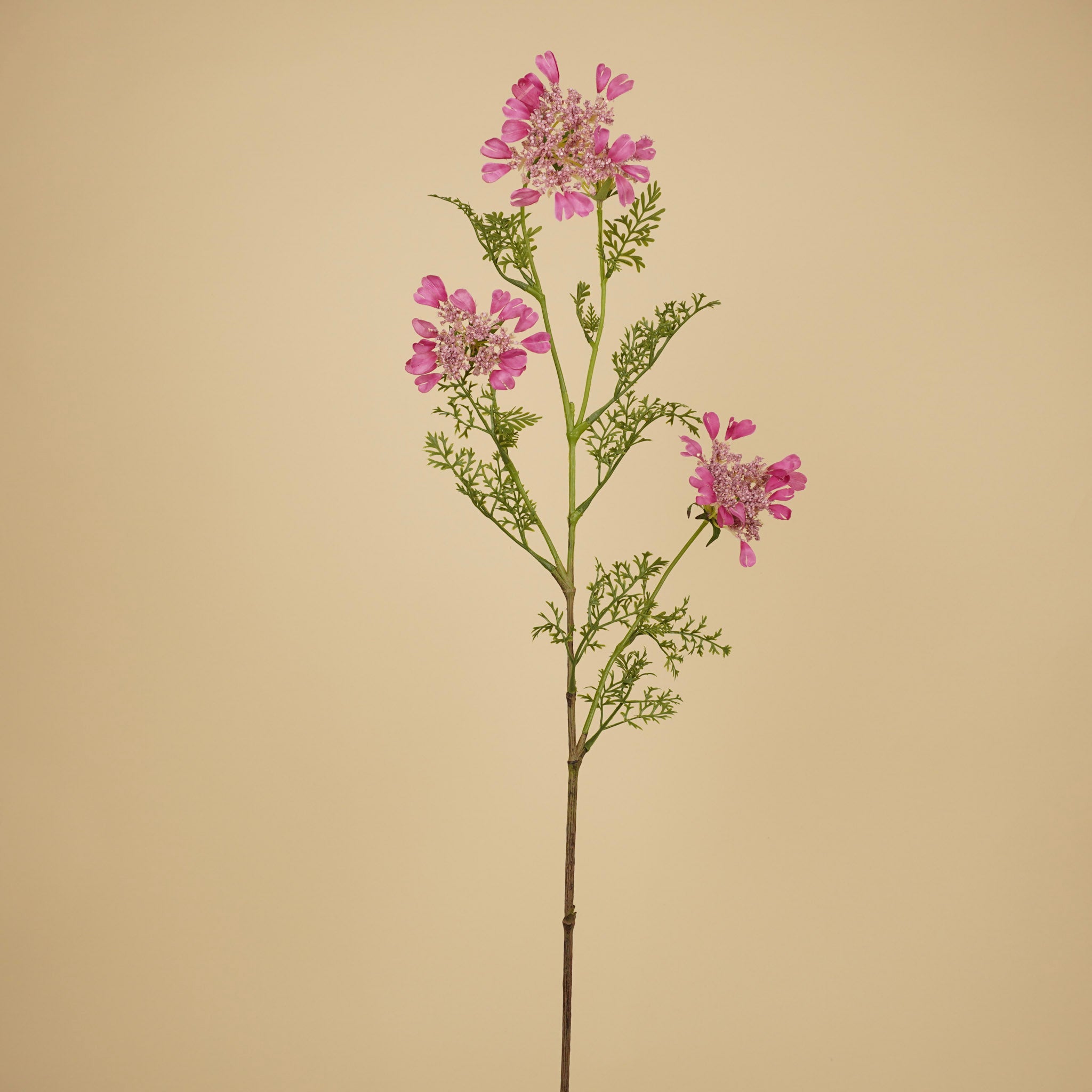 zijde-wilde-worteltak-donkerroze-96cm