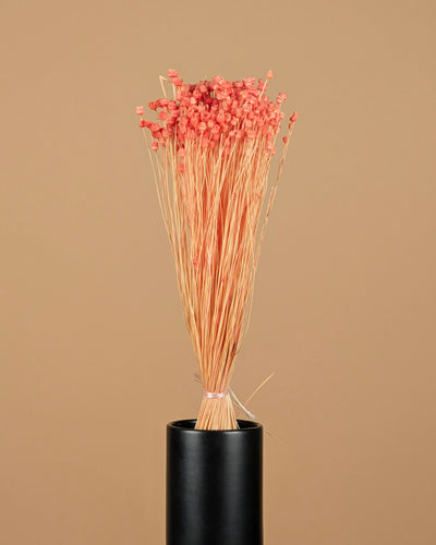 Gedroogde berina – oranje