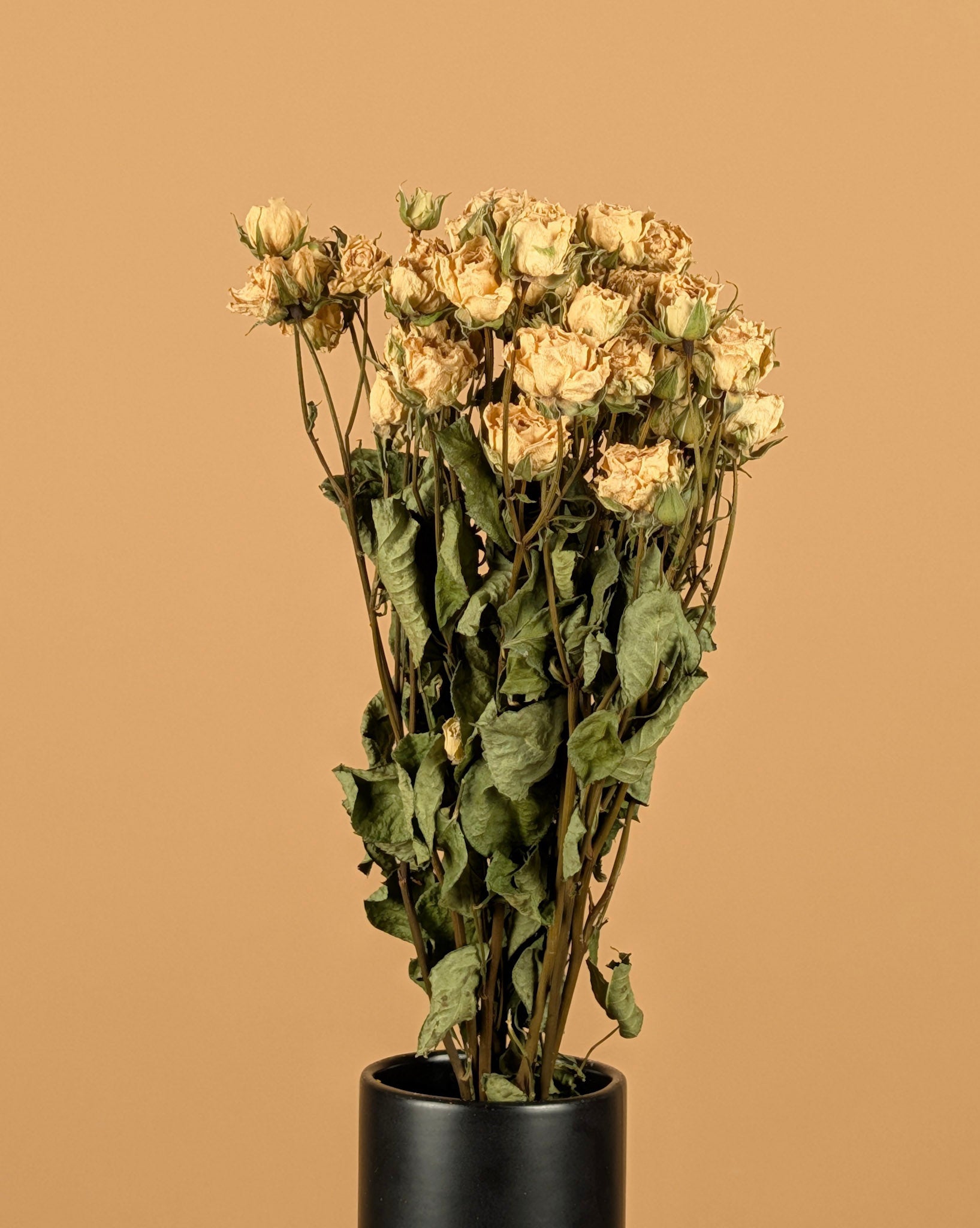 Getrocknete weiße Cluster