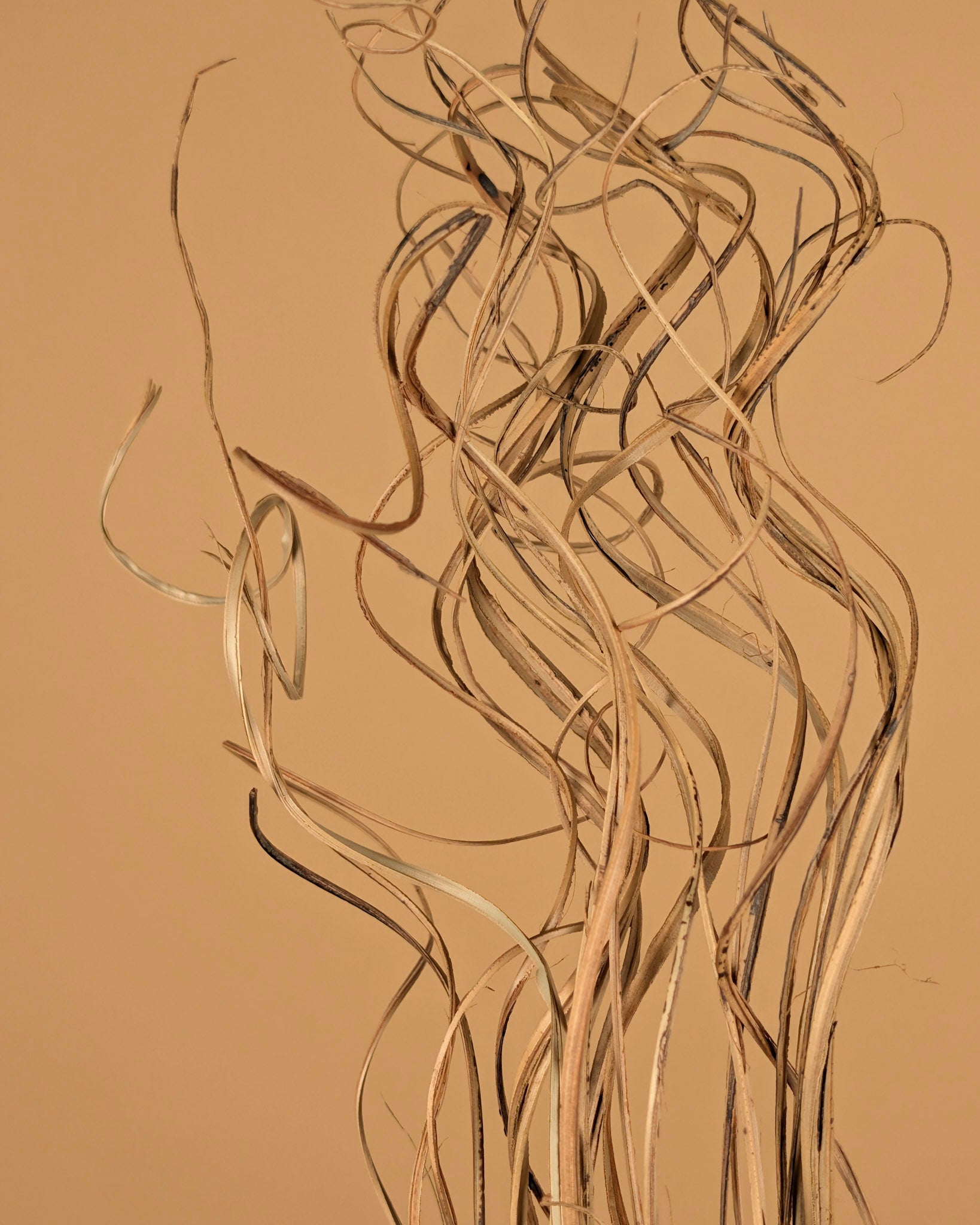 Rotin de ting bouclé