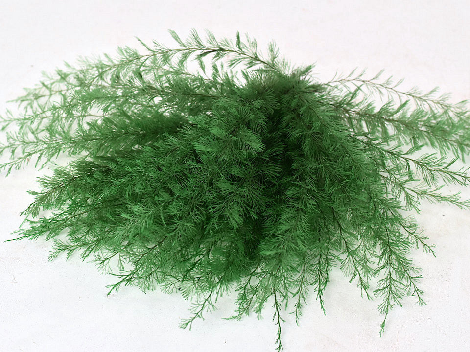 Air Fern Mosgroen 15cm 5 pack