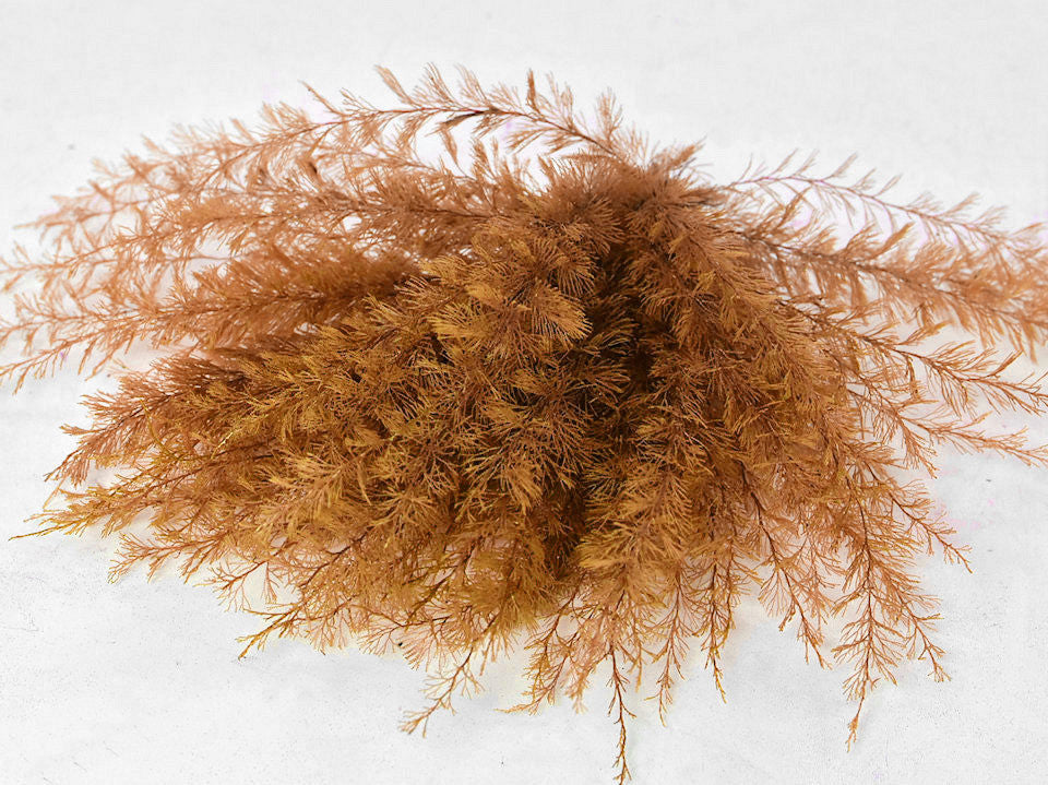 Air Fern Copper 15cm 5 pack