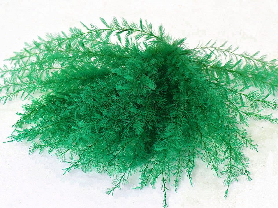 Air Fern Green 15cm 5 pack