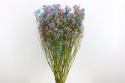 Gipspraid Disco Mix Lila & Blau getrocknet