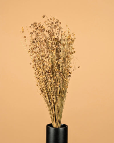 Dried Lino Vlas Naturel (Linum)