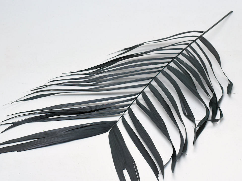 Areca -Palmblätter 60 cm dunkelgrün