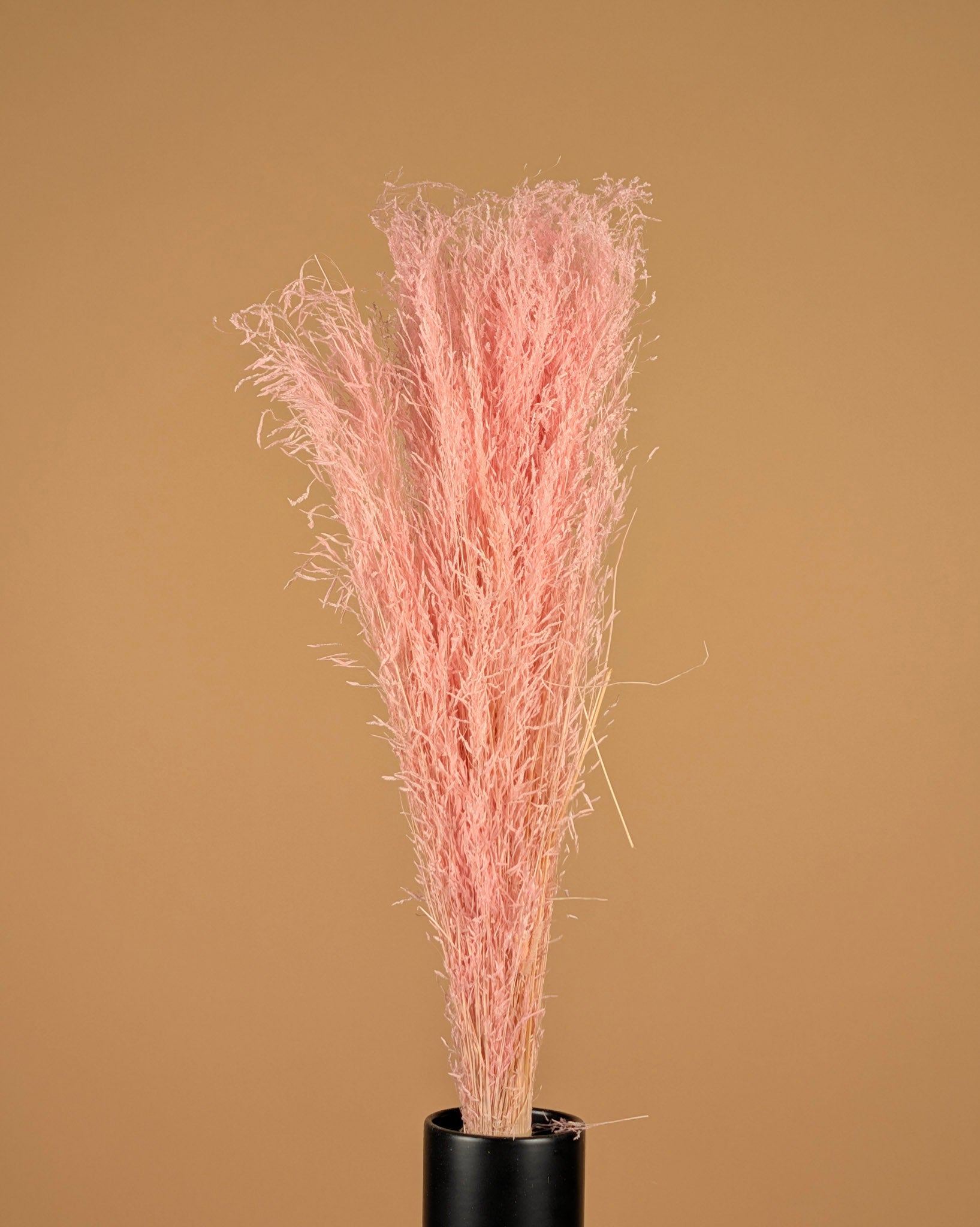 Gedroogd munni grass gebleekt - licht roze