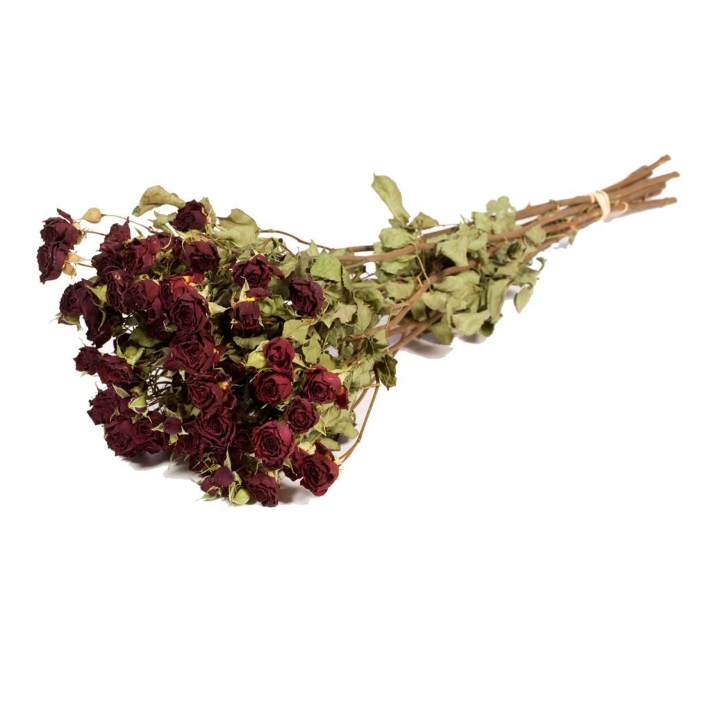 Dried dark red roses