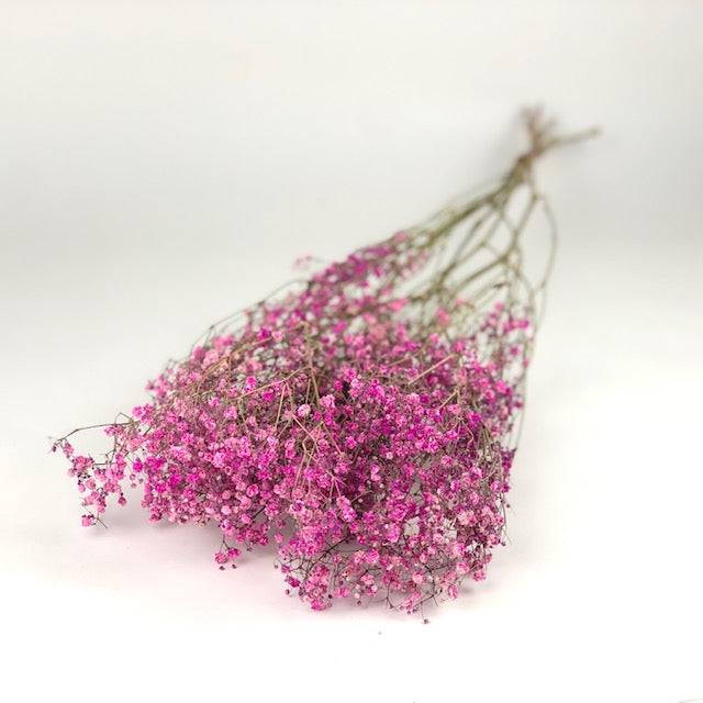 Gedroogde Gipskruid (Gypsophilia) Donker Roze