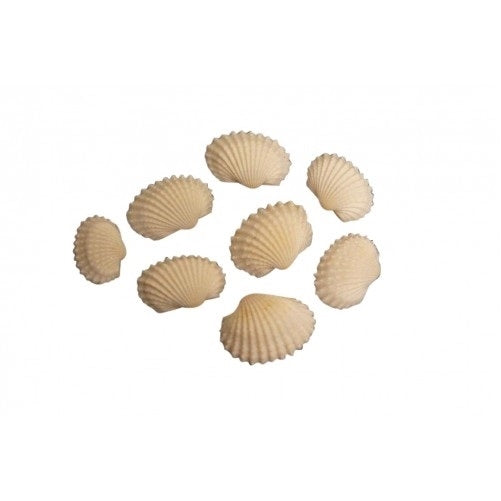 Shells White Chippi Small and Nassa