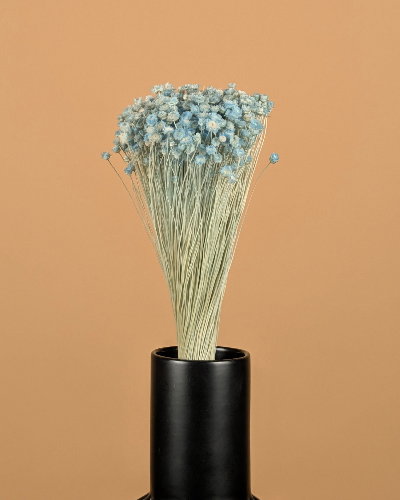 Jazilda Hell Blue erhalten erhalten