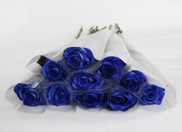 Roses bleues de 70 cm emballées dans un boîtier blanc givré