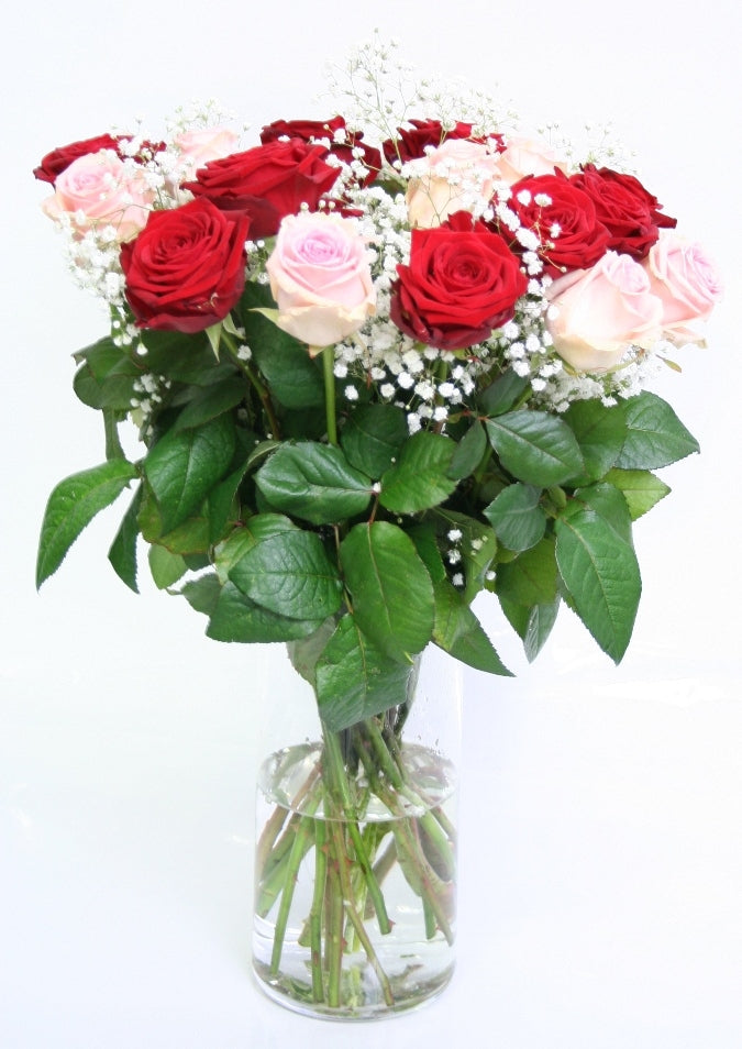 Rosenstrauß von 10 rosa Rosen und 10 roten Rosen mit Gips