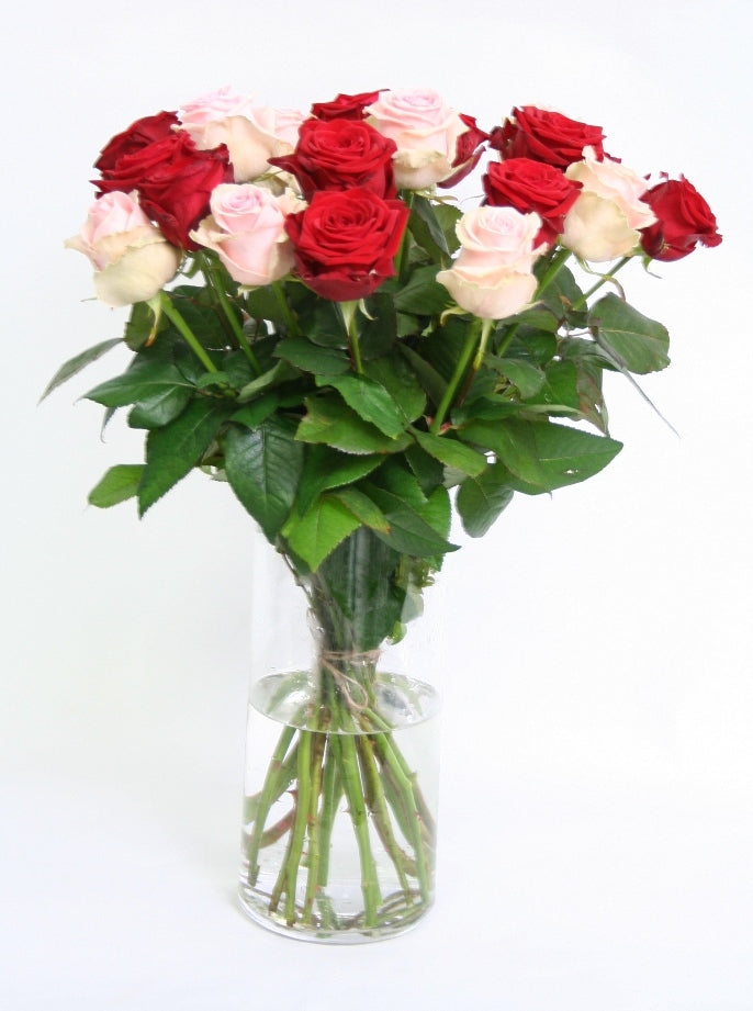 Roses bouquet of large -flowered pink roses and red roses