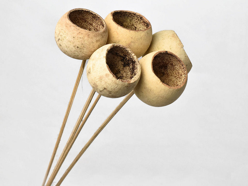 Glockenbecher auf Stahl 5-7 cm