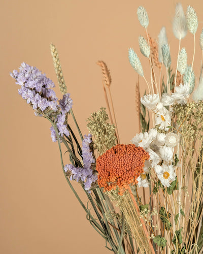 Trockenstrauß wirklich geliebt