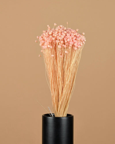 Gedroogde berina – roze