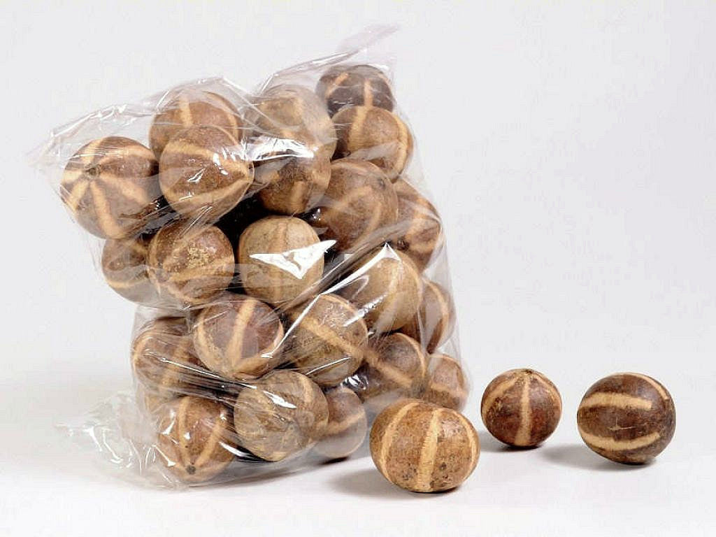 Bellani Kürbis 4-6cm 50-Pack