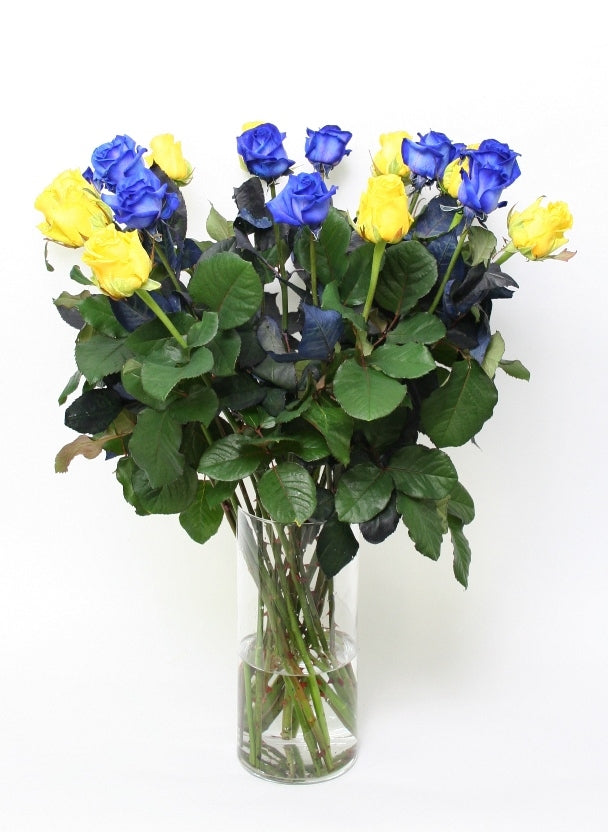 Bouquet de roses de 10 roses bleues avec 10 roses jaunes