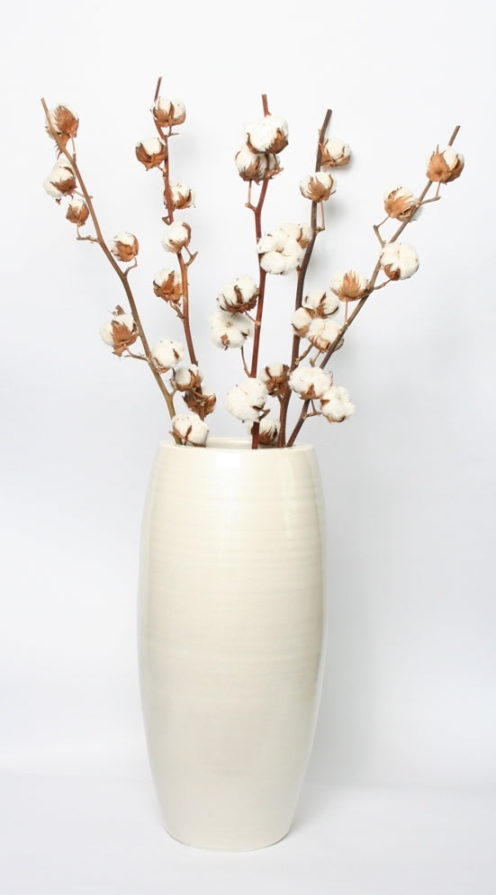 5 branches de coton avec 8 balles dans un vase blanc