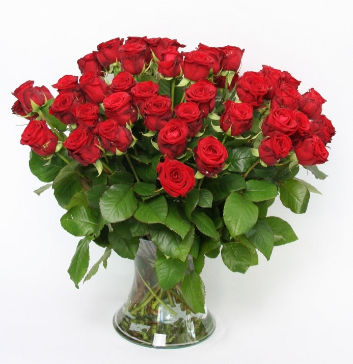 50 Bouquet de roses rouges de grandes roses fluide