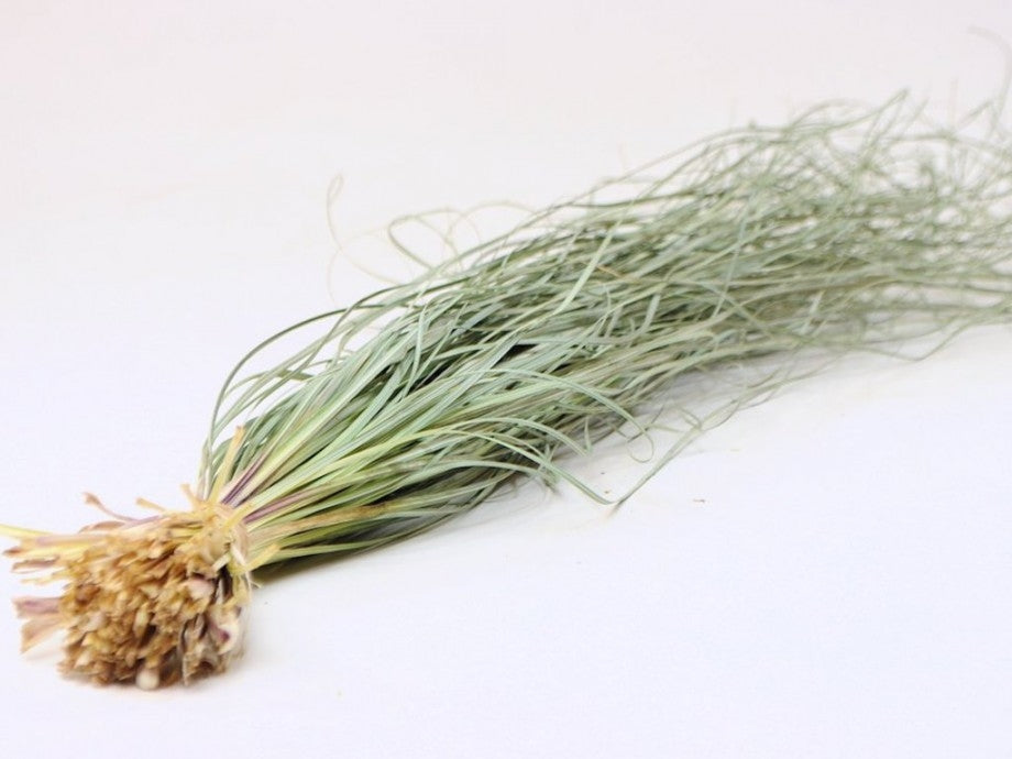 Dried bear grass