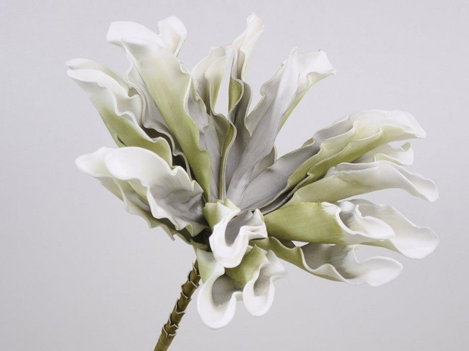 Foam flower dracena white gray Ø 24 cm