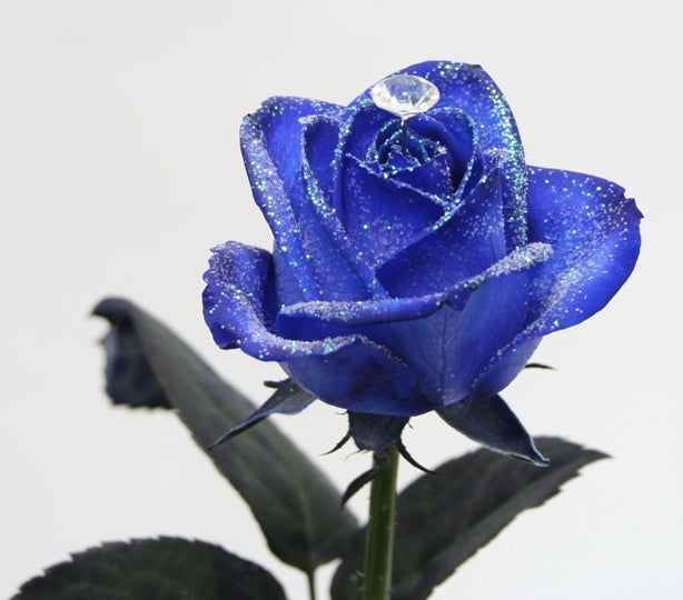 Blumenstrauß aus blauen glitzernden Rosen mit einem Diamanten