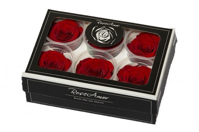 Preserved red roses in a gift box