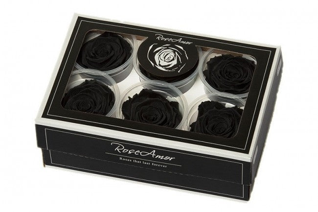 Preserved black roses in a gift box