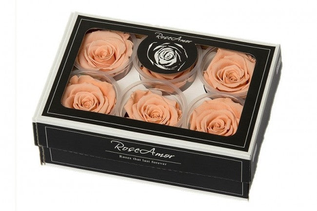 Preserved peach roses in a gift box