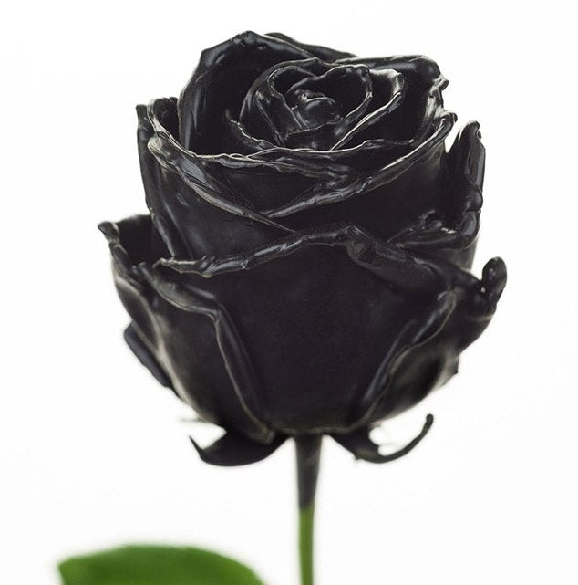 Bouquet of large -flowered black wax roses