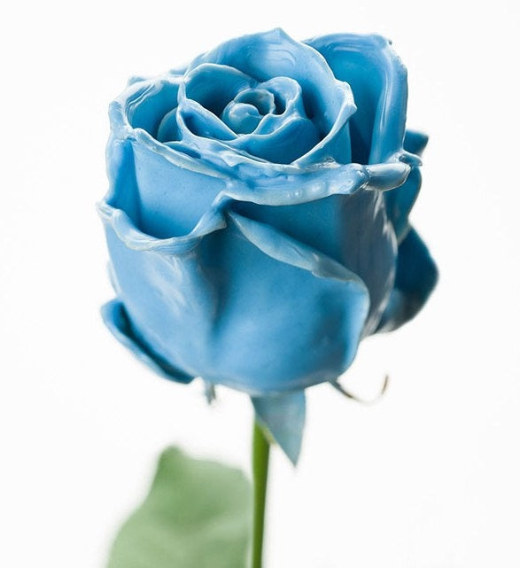 Bouquet of Great Flower Light Blue Wax Roses