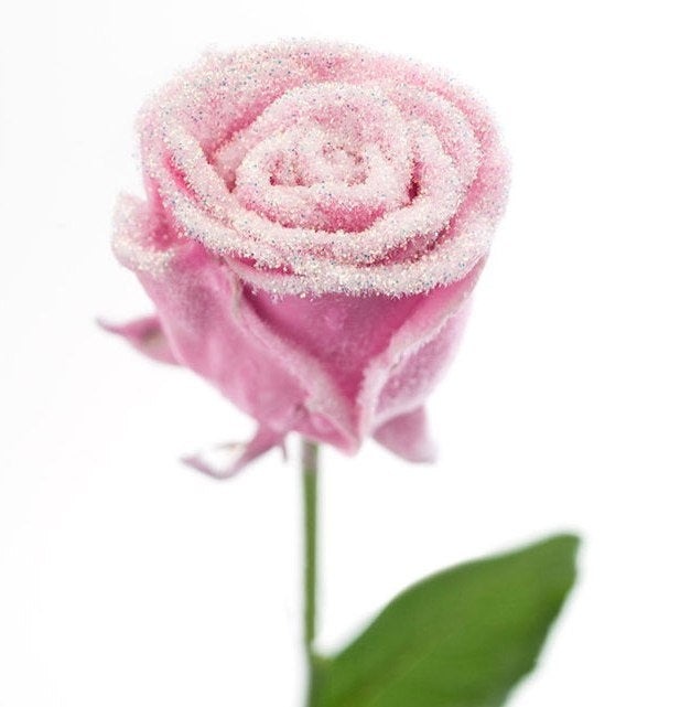 Bouquet of large -flowered wax roses pink with snow