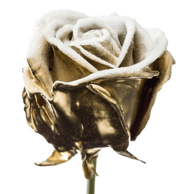 Bouquet de grandes roses de cire à flux or coloré neige