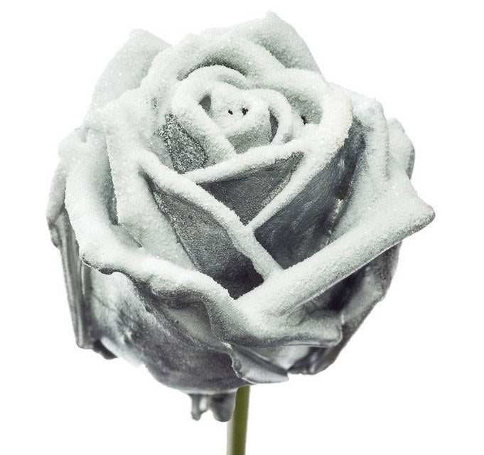 Bouquet of large -flowered wax roses silver colorful snowy