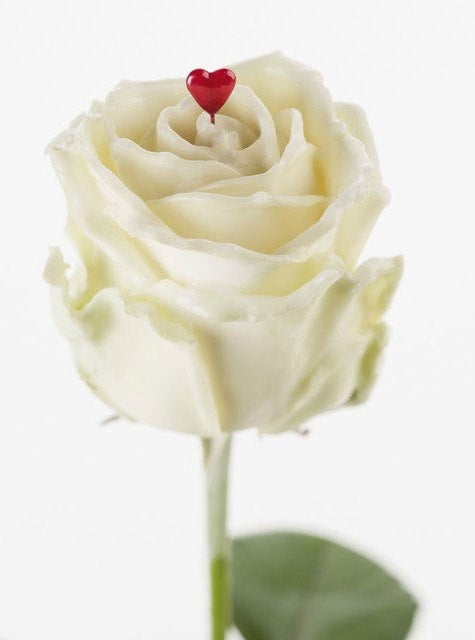 Bouquet of large -flowered white wax roses with red heart