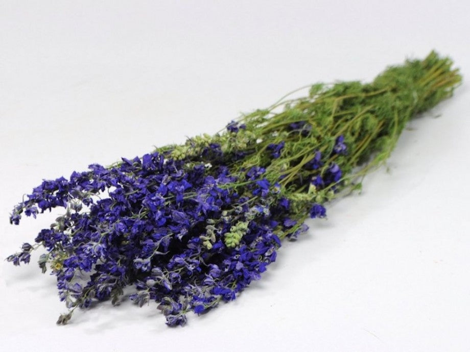 Dried Delphinium Ridderspoor Blauw