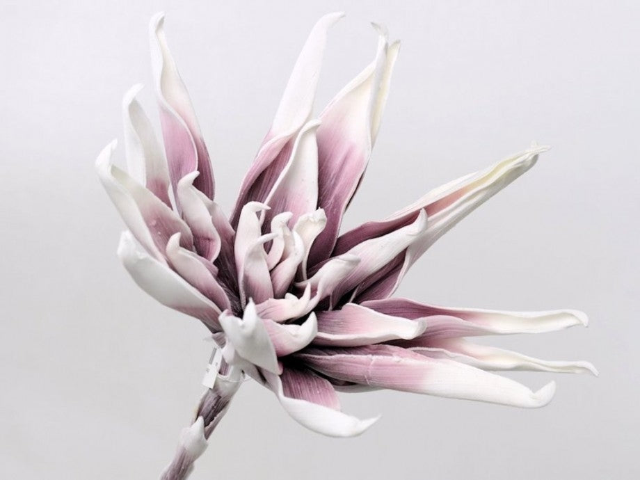 Schaumblume weißer Flila Ø 35 cm