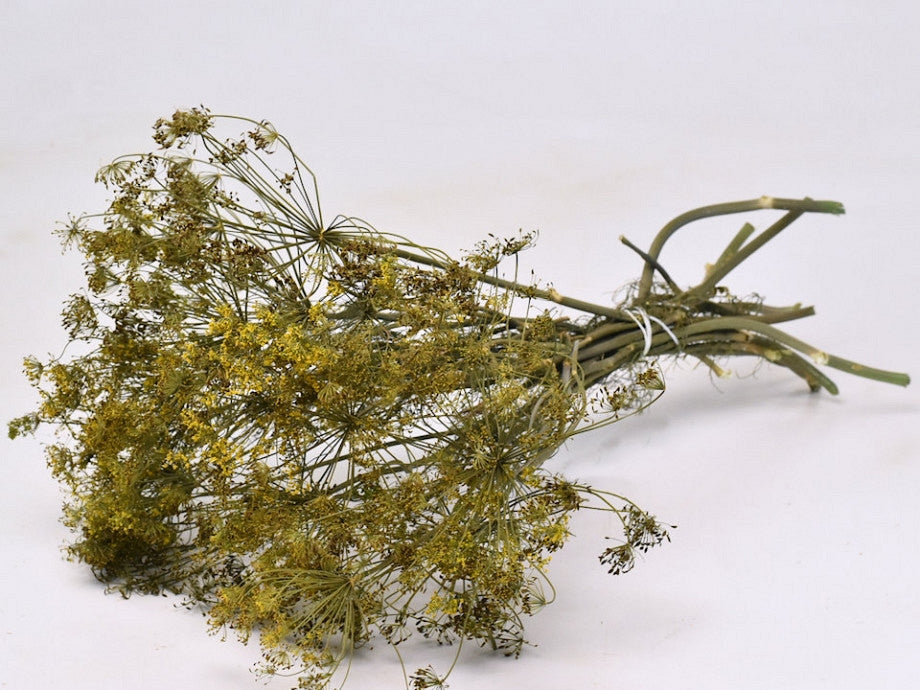 Dried dill